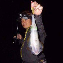 South Current 釣果