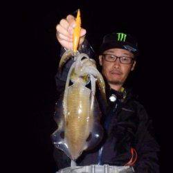 South Current 釣果