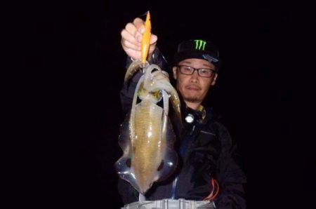 South Current 釣果