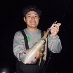 South Current 釣果