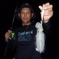 South Current 釣果