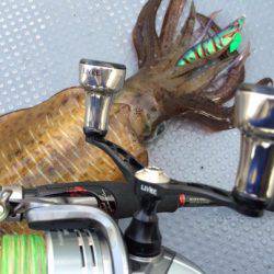 South Current 釣果