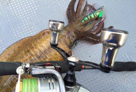 South Current 釣果