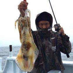 South Current 釣果