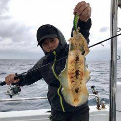 South Current 釣果