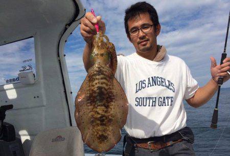 South Current 釣果