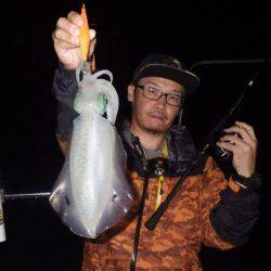 South Current 釣果