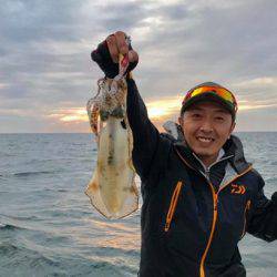 South Current 釣果