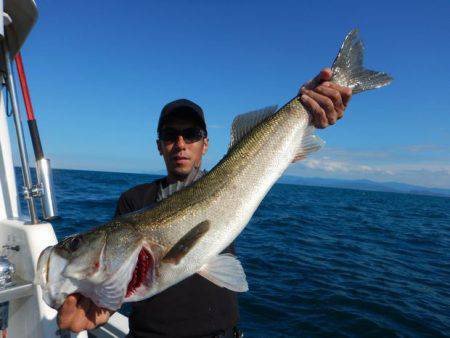 LUSTER『ラスター』 釣果