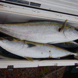 LUSTER『ラスター』 釣果