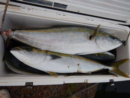 LUSTER『ラスター』 釣果