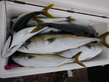 LUSTER『ラスター』 釣果