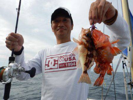 LUSTER『ラスター』 釣果