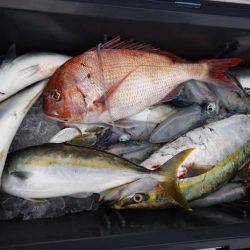 LUSTER『ラスター』 釣果