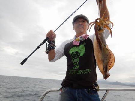 LUSTER『ラスター』 釣果