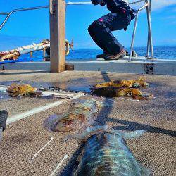 ブルースフィッシングサービス 釣果