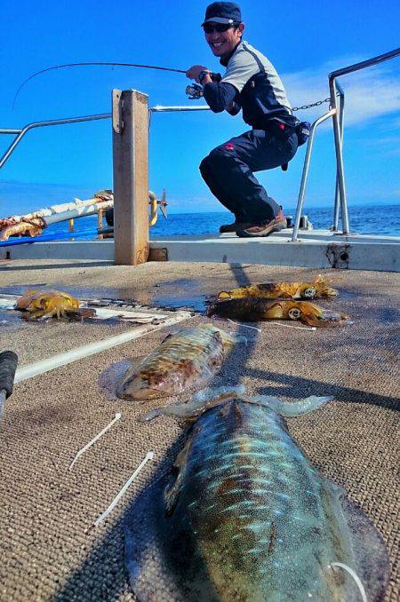 ブルースフィッシングサービス 釣果