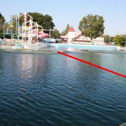 としまえんフィッシングエリア 釣果