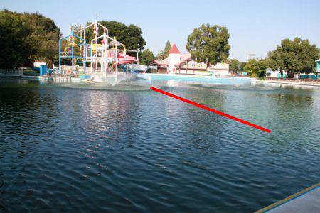 としまえんフィッシングエリア 釣果