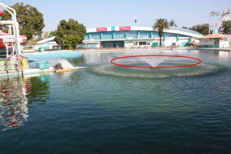 としまえんフィッシングエリア 釣果