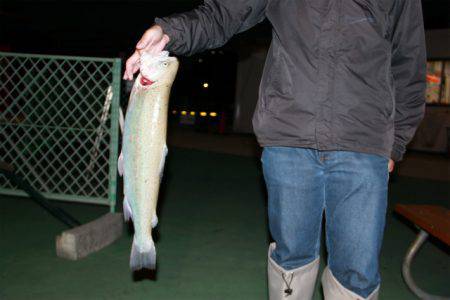としまえんフィッシングエリア 釣果