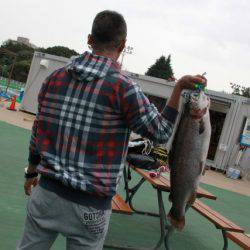 としまえんフィッシングエリア 釣果