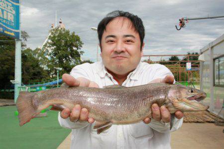 としまえんフィッシングエリア 釣果