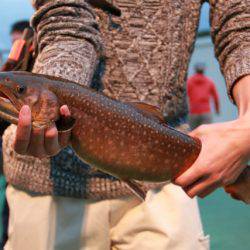 としまえんフィッシングエリア 釣果