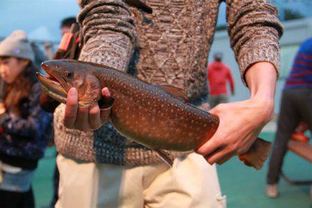 としまえんフィッシングエリア 釣果