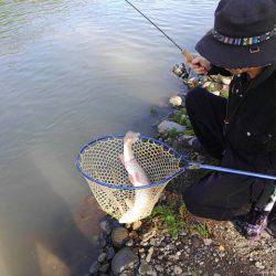 つりぼりあかし 釣果