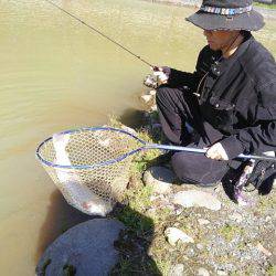 つりぼりあかし 釣果