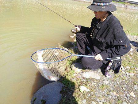 つりぼりあかし 釣果