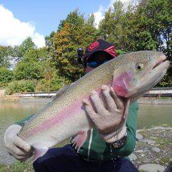 つりぼりあかし 釣果