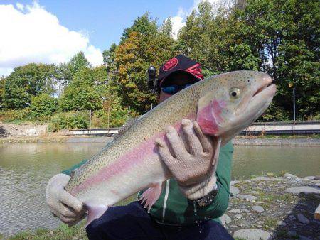 つりぼりあかし 釣果