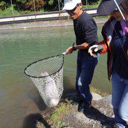 つりぼりあかし 釣果