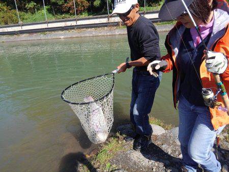 つりぼりあかし 釣果