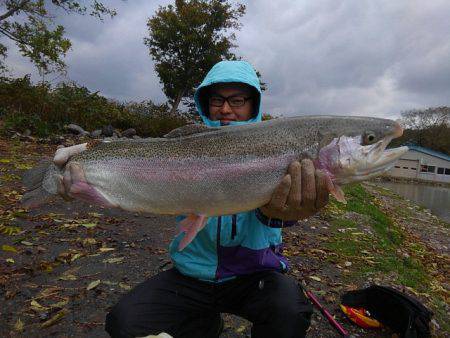 つりぼりあかし 釣果
