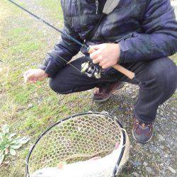 つりぼりあかし 釣果