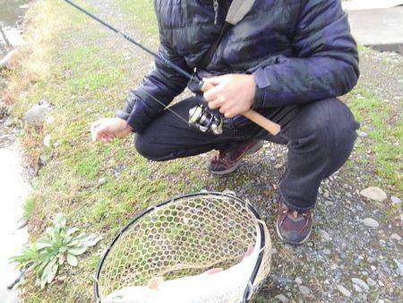 つりぼりあかし 釣果