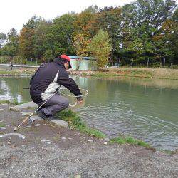 つりぼりあかし 釣果