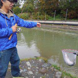 つりぼりあかし 釣果