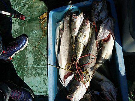 KO-SHIN丸 釣果