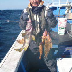 芳陽丸 釣果