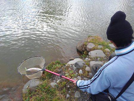 つりぼりあかし 釣果