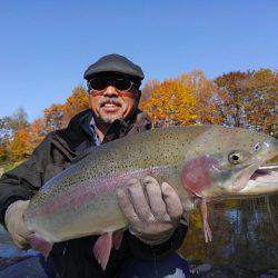 つりぼりあかし 釣果