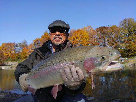 つりぼりあかし 釣果