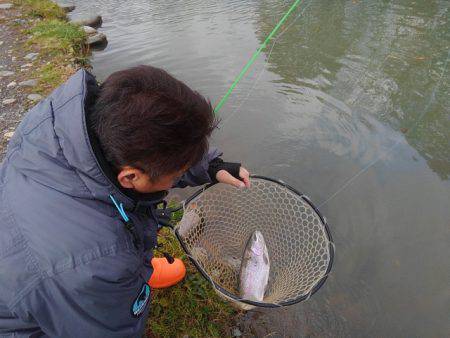 つりぼりあかし 釣果