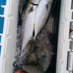 海龍丸(石川) 釣果