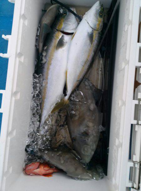 海龍丸(石川) 釣果