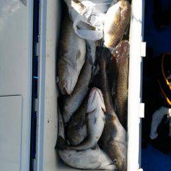 海龍丸（石川） 釣果